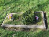 image of grave number 478119
